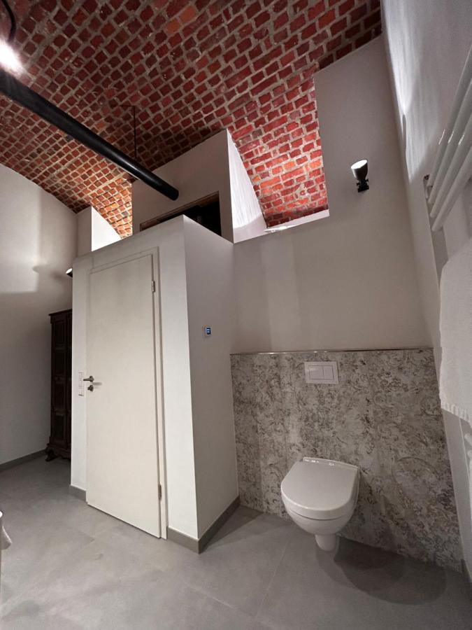 Historical Luxury Homes - Luxus Familien Suite Friburgo em Brisgóvia Exterior foto